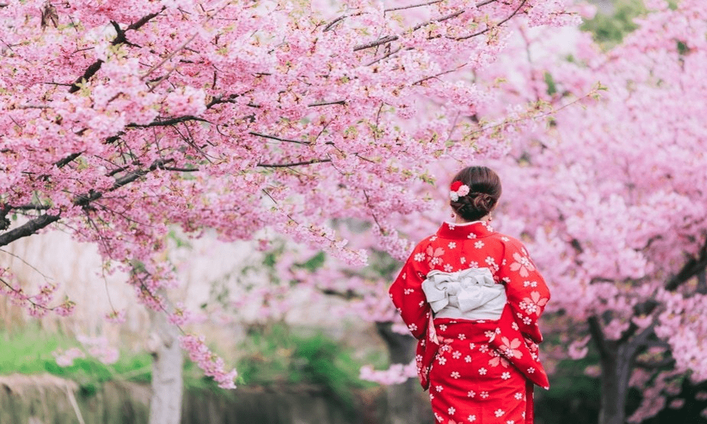 Menjelajahi Negeri Sakura Selayang Pandang tentang Jepang